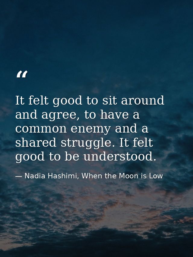 It felt good to sit around and agree, to have a common enemy and a shared struggle. It felt good to be understood. — Nadia Hashimi, When the Moon is Low