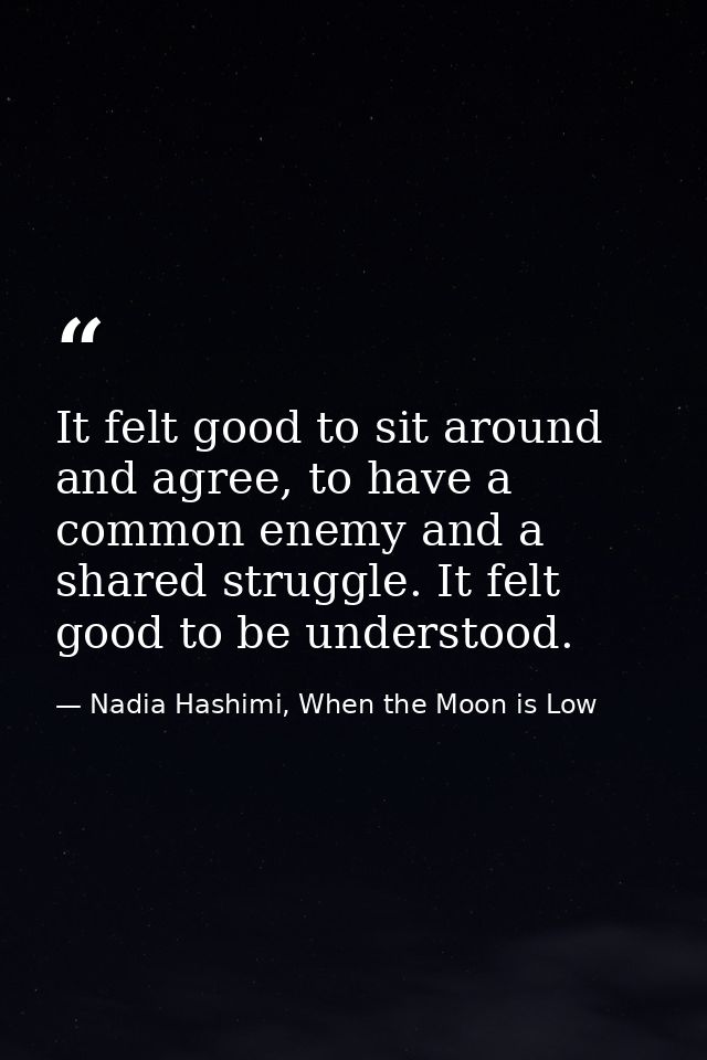 It felt good to sit around and agree, to have a common enemy and a shared struggle. It felt good to be understood. — Nadia Hashimi, When the Moon is Low