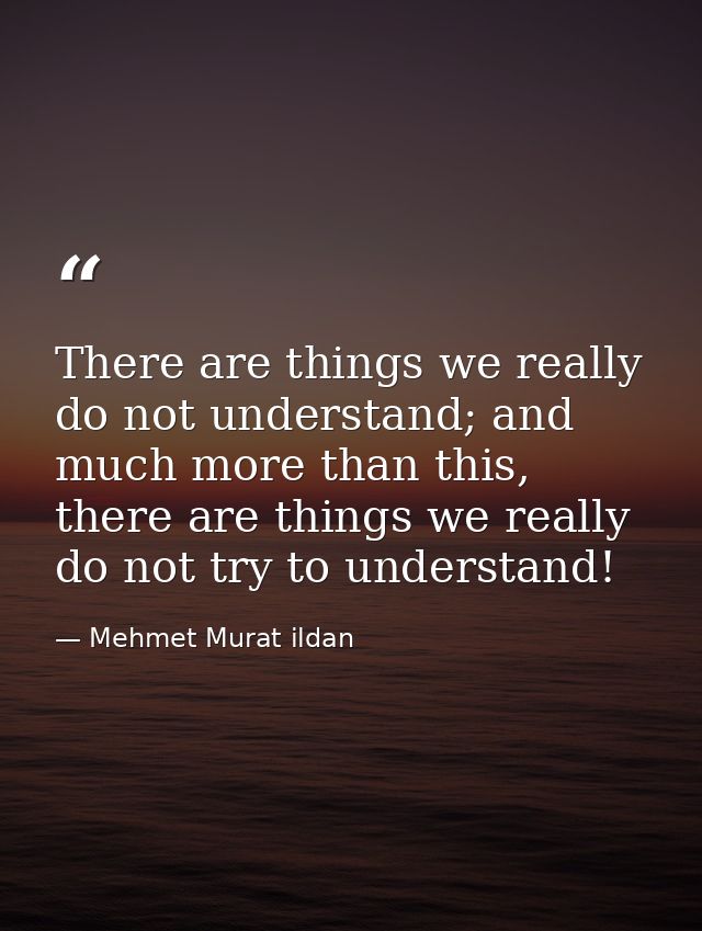There are things we really do not understand; and much more than this, there are things we really do not try to understa — Mehmet Murat ildan