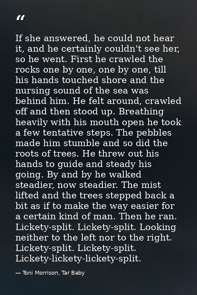 If she answered, he could not hear it, and he certainly couldn't see her, so he went. First he crawled the rocks one by  — Toni Morrison, Tar Baby