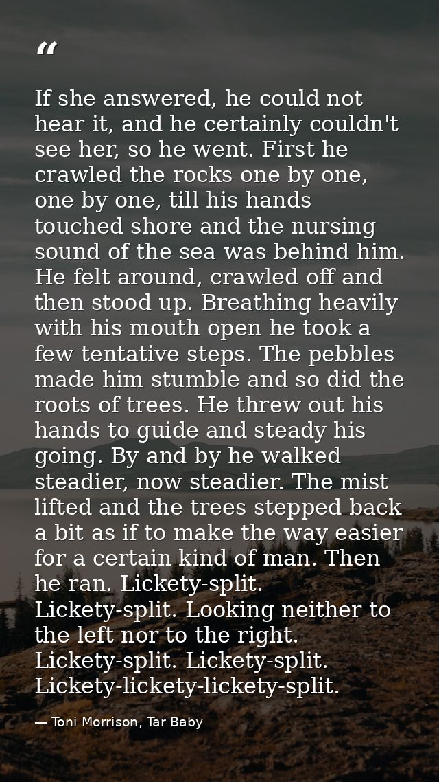 If she answered, he could not hear it, and he certainly couldn't see her, so he went. First he crawled the rocks one by  — Toni Morrison, Tar Baby