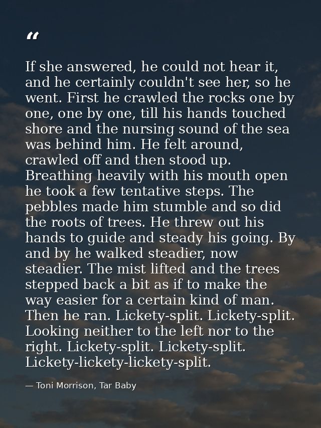 If she answered, he could not hear it, and he certainly couldn't see her, so he went. First he crawled the rocks one by  — Toni Morrison, Tar Baby