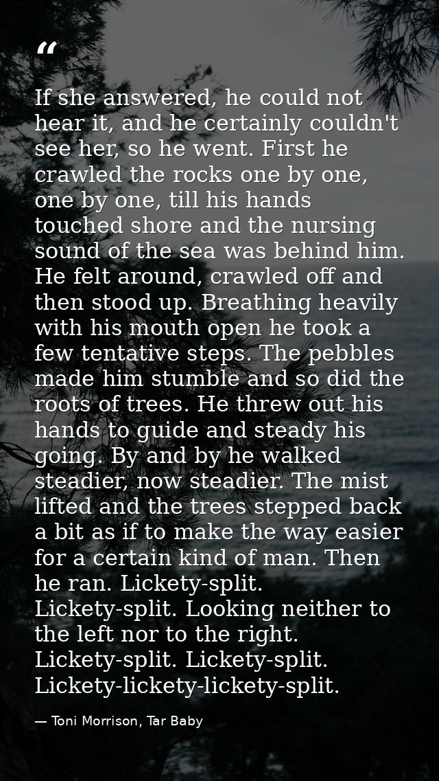 If she answered, he could not hear it, and he certainly couldn't see her, so he went. First he crawled the rocks one by  — Toni Morrison, Tar Baby