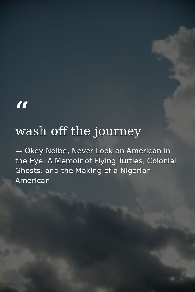 wash off the journey — Okey Ndibe, Never Look an American in the Eye: A Memoir of Flying Turtles, Colonial Ghosts, and the Making of a Nigerian American
