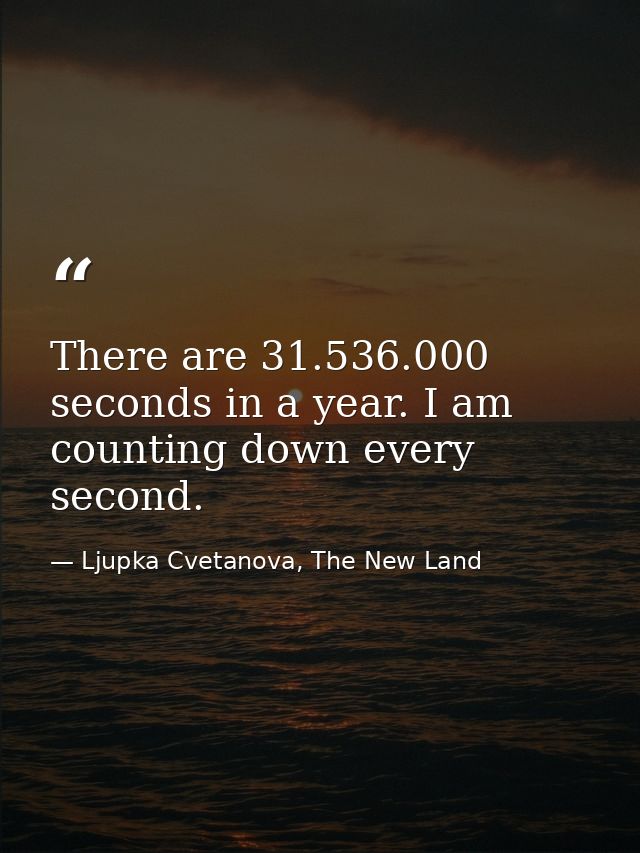 There are 31.536.000 seconds in a year. I am counting down every second. — Ljupka Cvetanova, The New Land