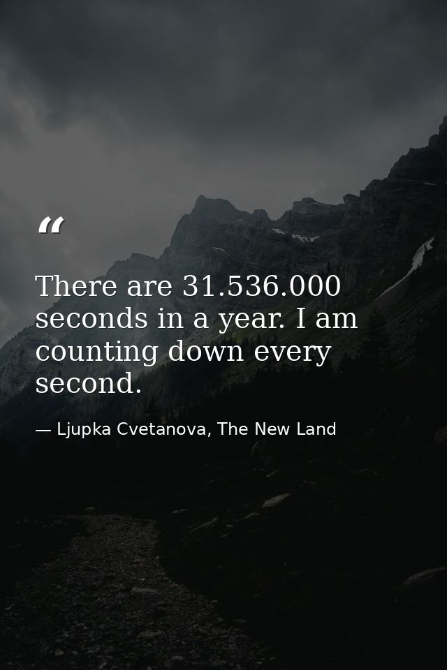 There are 31.536.000 seconds in a year. I am counting down every second. — Ljupka Cvetanova, The New Land