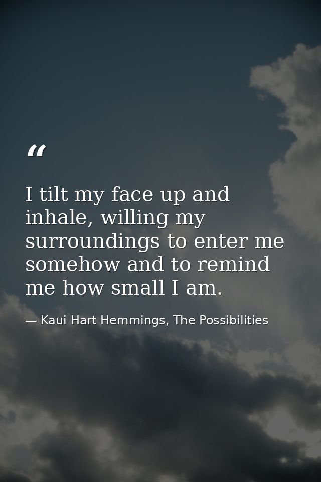 I tilt my face up and inhale, willing my surroundings to enter me somehow and to remind me how small I am. — Kaui Hart Hemmings, The Possibilities