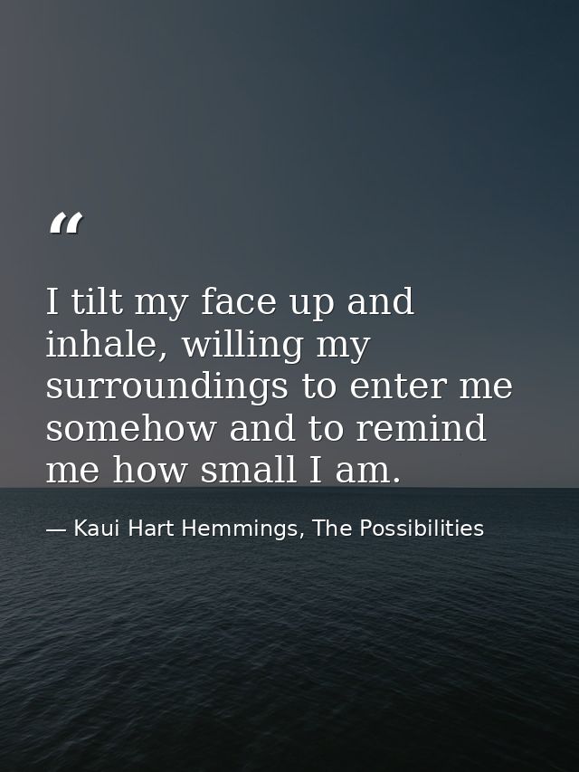 I tilt my face up and inhale, willing my surroundings to enter me somehow and to remind me how small I am. — Kaui Hart Hemmings, The Possibilities