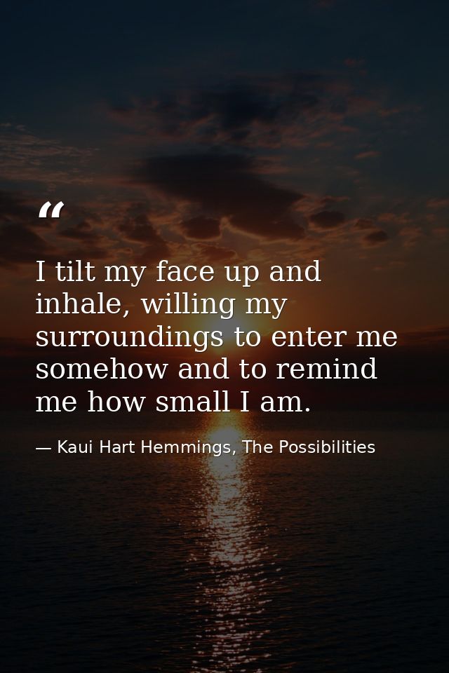 I tilt my face up and inhale, willing my surroundings to enter me somehow and to remind me how small I am. — Kaui Hart Hemmings, The Possibilities