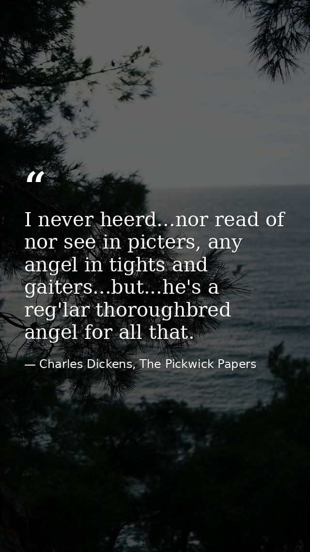 I never heerd...nor read of nor see in picters, any angel in tights and gaiters...but...he's a reg'lar thoroughbred ange — Charles Dickens, The Pickwick Papers