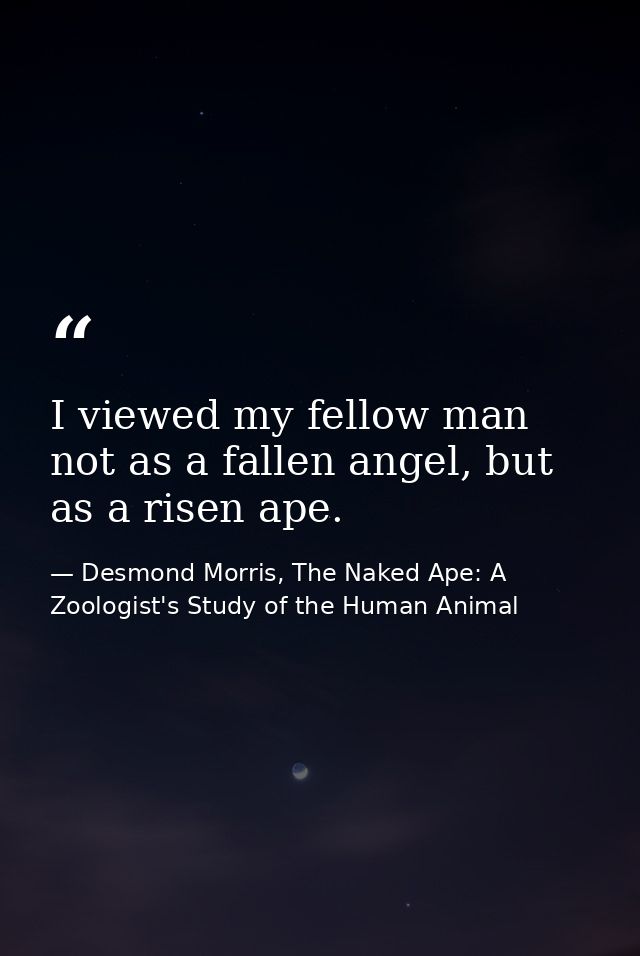 I viewed my fellow man not as a fallen angel, but as a risen ape. — Desmond Morris, The Naked Ape: A Zoologist's Study of the Human Animal