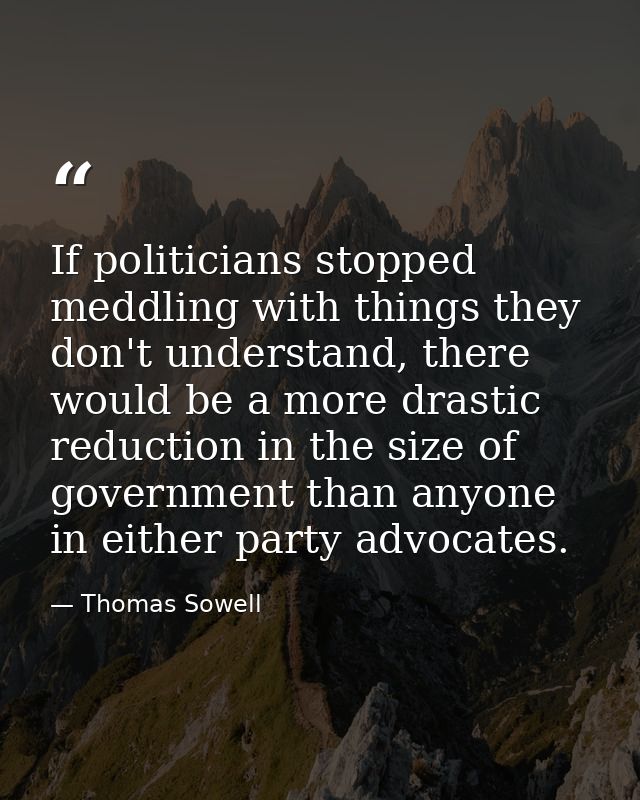 If politicians stopped meddling with things they don't understand, there would be a more drastic reduction in the size o — Thomas Sowell