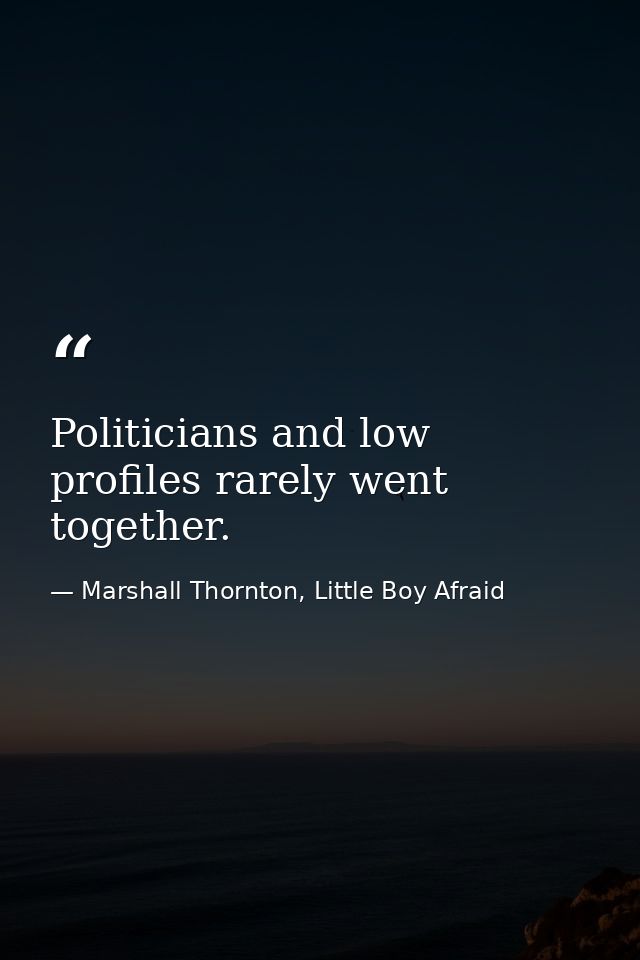 Politicians and low profiles rarely went together. — Marshall Thornton, Little Boy Afraid