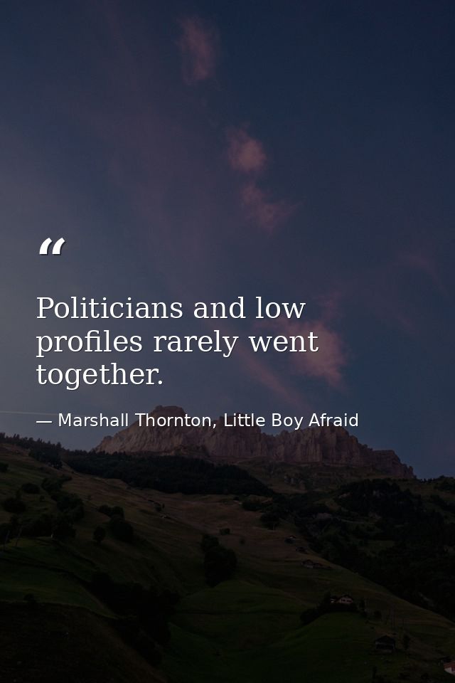 Politicians and low profiles rarely went together. — Marshall Thornton, Little Boy Afraid