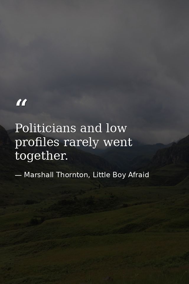 Politicians and low profiles rarely went together. — Marshall Thornton, Little Boy Afraid