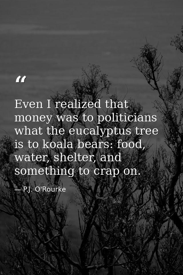 Even I realized that money was to politicians what the eucalyptus tree is to koala bears: food, water, shelter, and some — P.J. O'Rourke