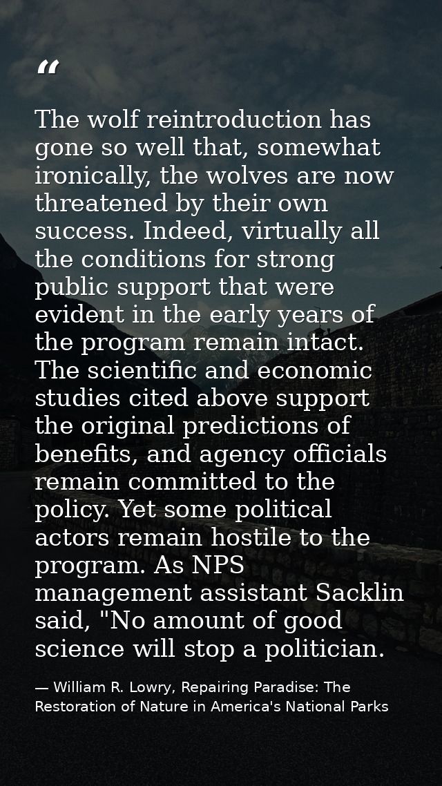 The wolf reintroduction has gone so well that, somewhat ironically, the wolves are now threatened by their own success.  — William R. Lowry, Repairing Paradise: The Restoration of Nature in America's National Parks