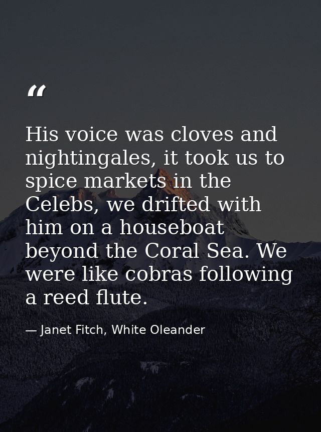 His voice was cloves and nightingales, it took us to spice markets in the Celebs, we drifted with him on a houseboat bey — Janet Fitch, White Oleander