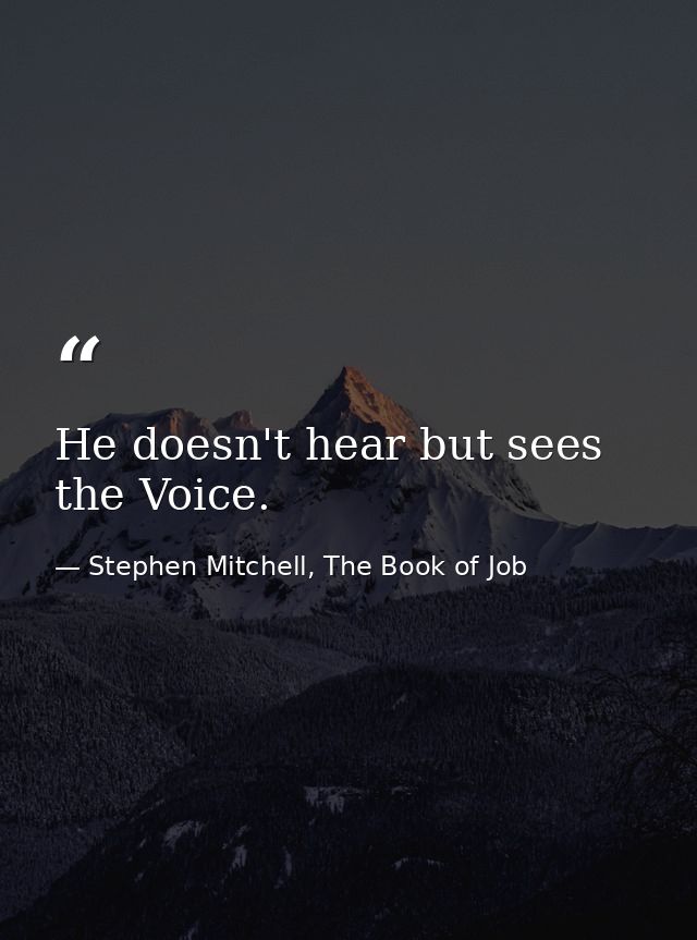 He doesn't hear but sees the Voice. — Stephen Mitchell, The Book of Job