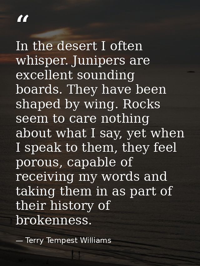 In the desert I often whisper. Junipers are excellent sounding boards. They have been shaped by wing. Rocks seem to care — Terry Tempest Williams