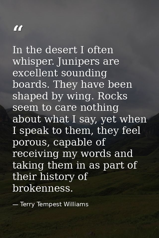 In the desert I often whisper. Junipers are excellent sounding boards. They have been shaped by wing. Rocks seem to care — Terry Tempest Williams