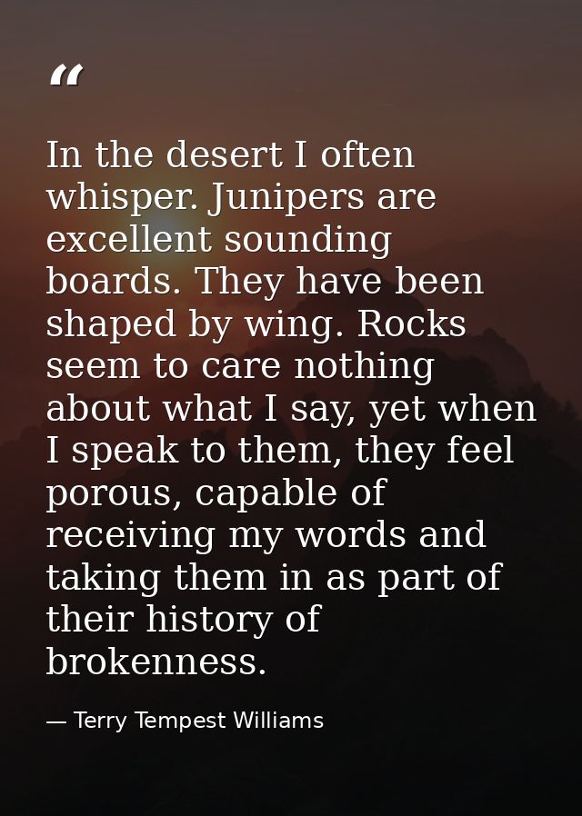 In the desert I often whisper. Junipers are excellent sounding boards. They have been shaped by wing. Rocks seem to care — Terry Tempest Williams