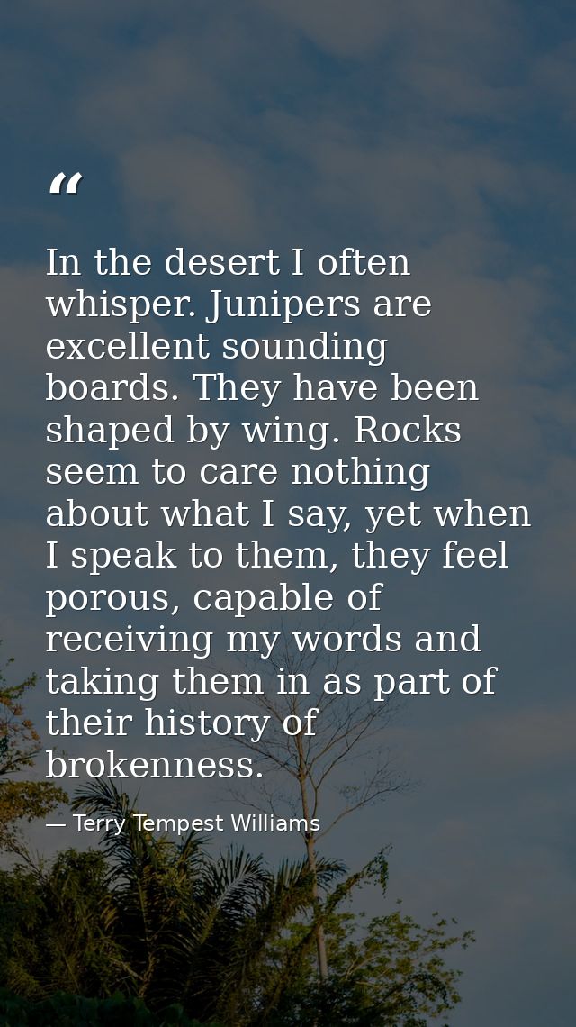 In the desert I often whisper. Junipers are excellent sounding boards. They have been shaped by wing. Rocks seem to care — Terry Tempest Williams