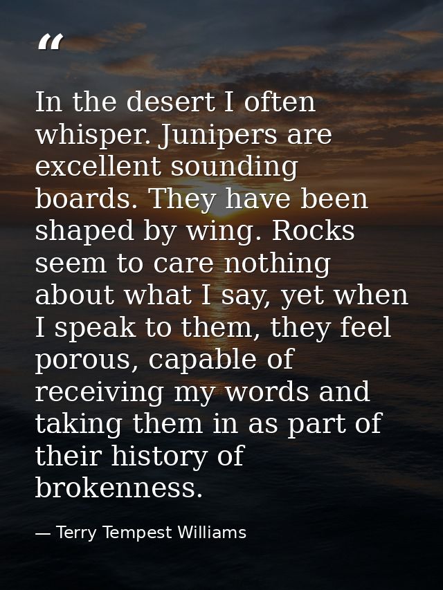 In the desert I often whisper. Junipers are excellent sounding boards. They have been shaped by wing. Rocks seem to care — Terry Tempest Williams