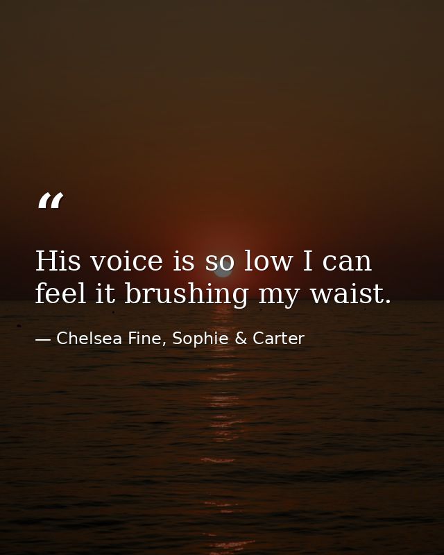 His voice is so low I can feel it brushing my waist. — Chelsea Fine, Sophie & Carter