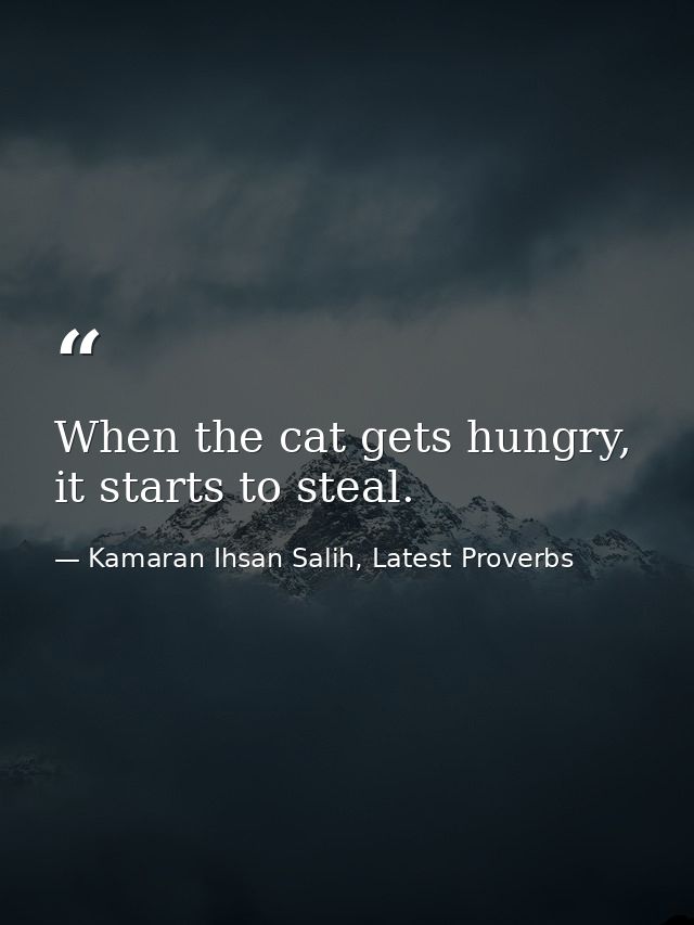 When the cat gets hungry, it starts to steal. — Kamaran Ihsan Salih, Latest Proverbs