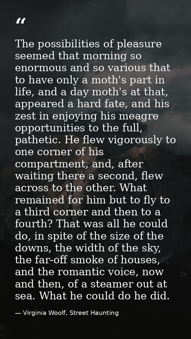 The possibilities of pleasure seemed that morning so enormous and so various that to have only a moth's part in life, an — Virginia Woolf, Street Haunting