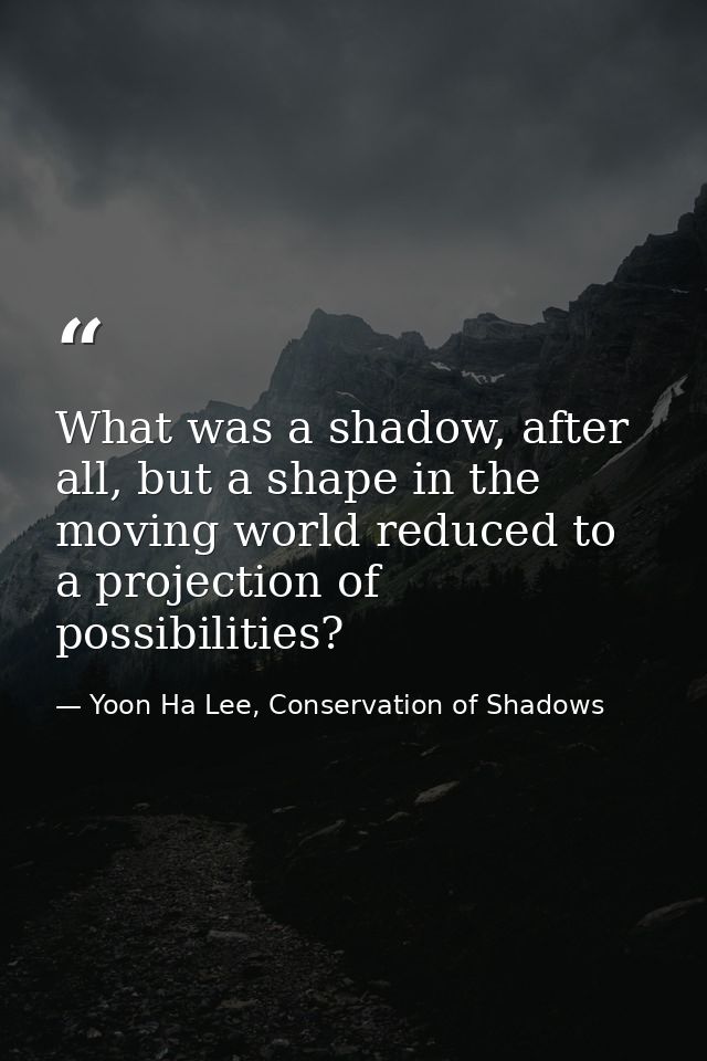 What was a shadow, after all, but a shape in the moving world reduced to a projection of possibilities? — Yoon Ha Lee, Conservation of Shadows
