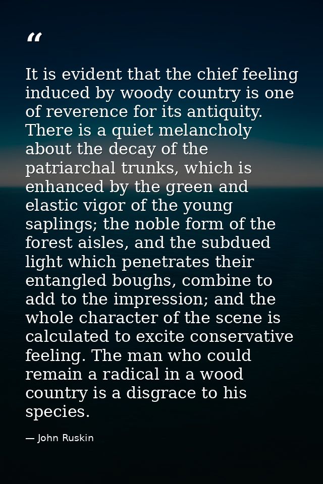 It is evident that the chief feeling induced by woody country is one of reverence for its antiquity. There is a quiet me — John Ruskin