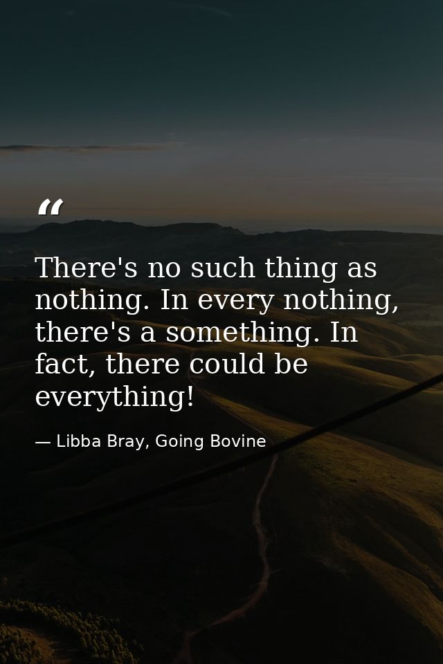 There's no such thing as nothing. In every nothing, there's a something. In fact, there could be everything! — Libba Bray, Going Bovine