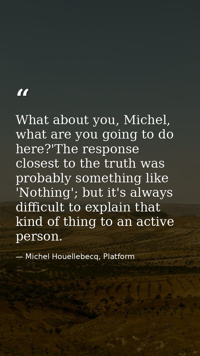 What about you, Michel, what are you going to do here?'The response closest to the truth was probably something like 'No — Michel Houellebecq, Platform