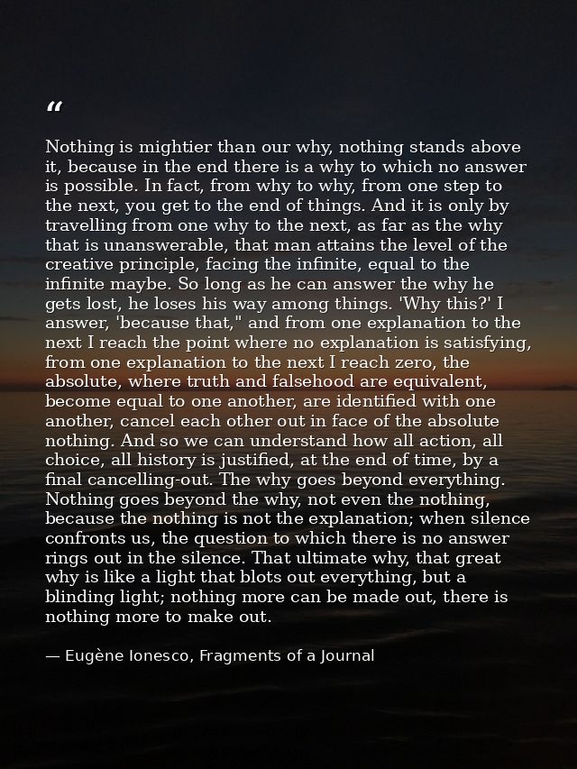 Nothing is mightier than our why, nothing stands above it, because in the end there is a why to which no answer is possi — Eugène Ionesco, Fragments of a Journal