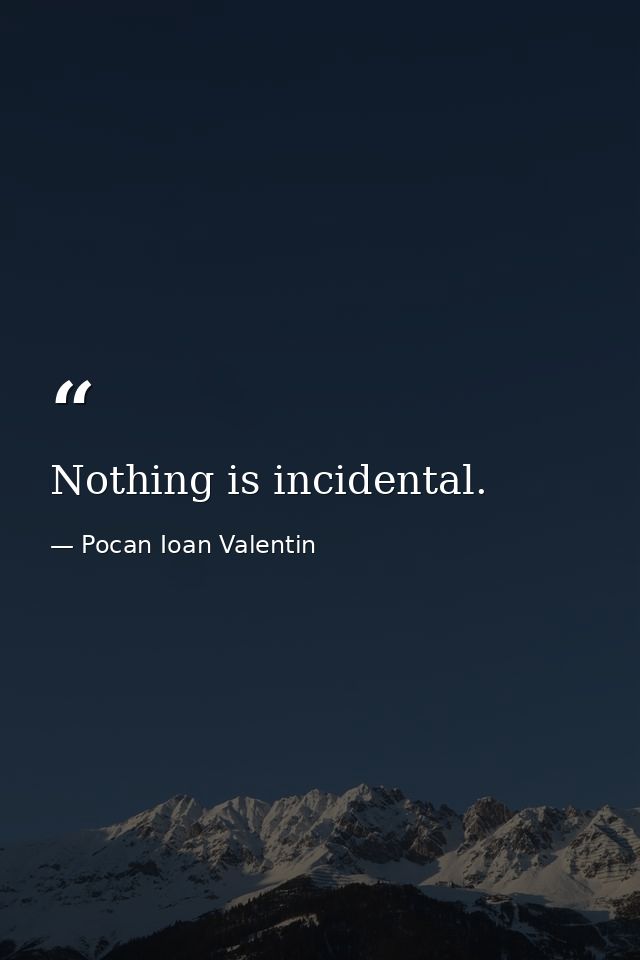 Nothing is incidental. — Pocan Ioan Valentin