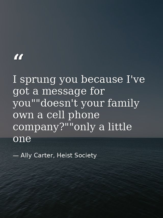 I sprung you because I've got a message for you""doesn't your family own a cell phone company?""only a little one — Ally Carter, Heist Society