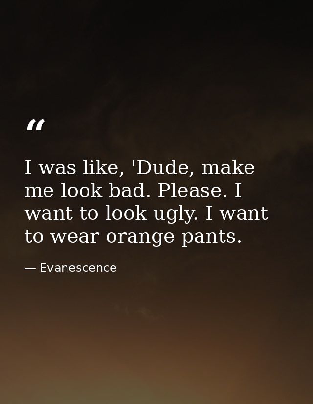 I was like, 'Dude, make me look bad. Please. I want to look ugly. I want to wear orange pants. — Evanescence