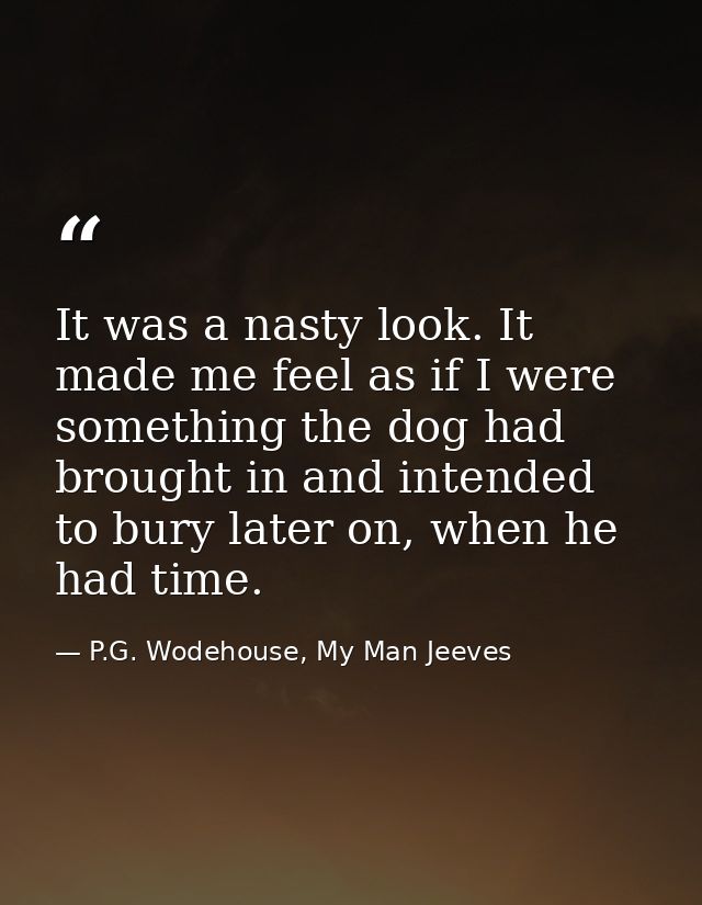 It was a nasty look. It made me feel as if I were something the dog had brought in and intended to bury later on, when h — P.G. Wodehouse, My Man Jeeves