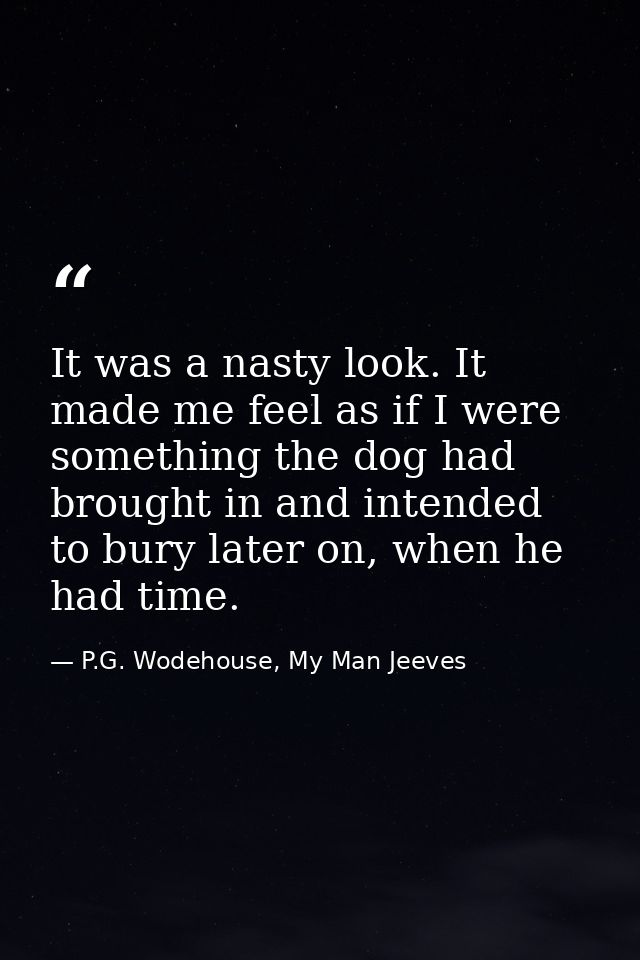 It was a nasty look. It made me feel as if I were something the dog had brought in and intended to bury later on, when h — P.G. Wodehouse, My Man Jeeves