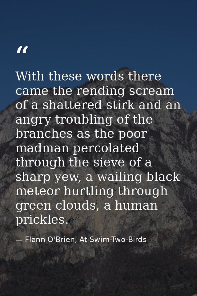 With these words there came the rending scream of a shattered stirk and an angry troubling of the branches as the poor m — Flann O'Brien, At Swim-Two-Birds
