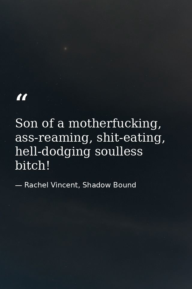 Son of a motherfucking, ass-reaming, shit-eating, hell-dodging soulless bitch! — Rachel Vincent, Shadow Bound