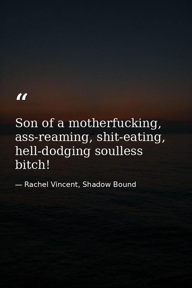 Son of a motherfucking, ass-reaming, shit-eating, hell-dodging soulless bitch! — Rachel Vincent, Shadow Bound