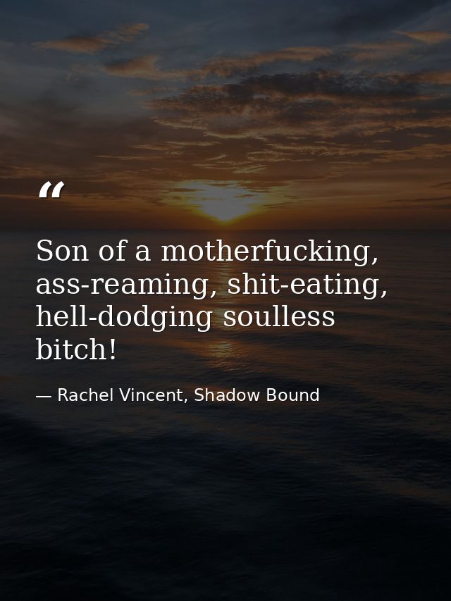 Son of a motherfucking, ass-reaming, shit-eating, hell-dodging soulless bitch! — Rachel Vincent, Shadow Bound