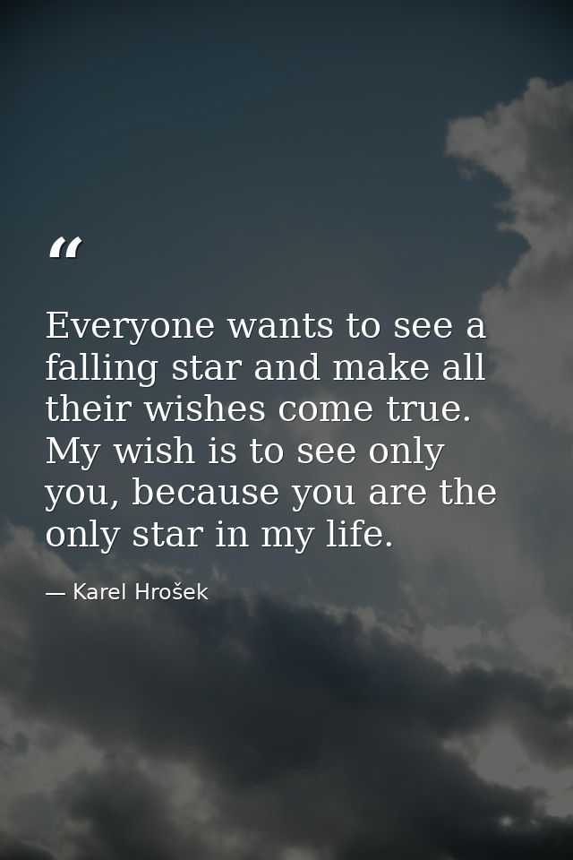 Everyone wants to see a falling star and make all their wishes come true. My wish is to see only you, because you are th — Karel Hrošek