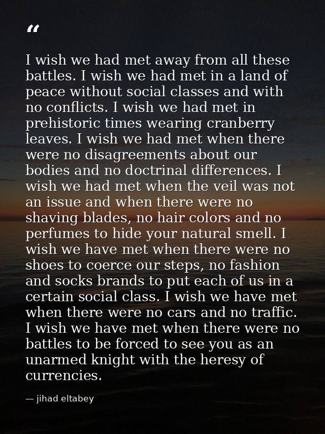 I wish we had met away from all these battles. I wish we had met in a land of peace without social classes and with no c — jihad eltabey