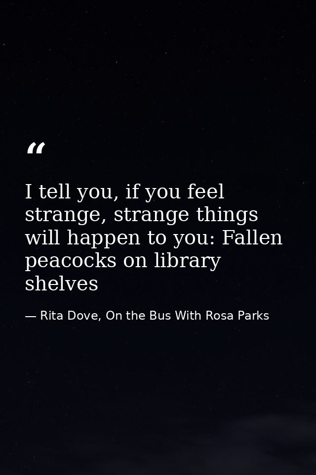 I tell you, if you feel strange, strange things will happen to you: Fallen peacocks on library shelves — Rita Dove, On the Bus With Rosa Parks
