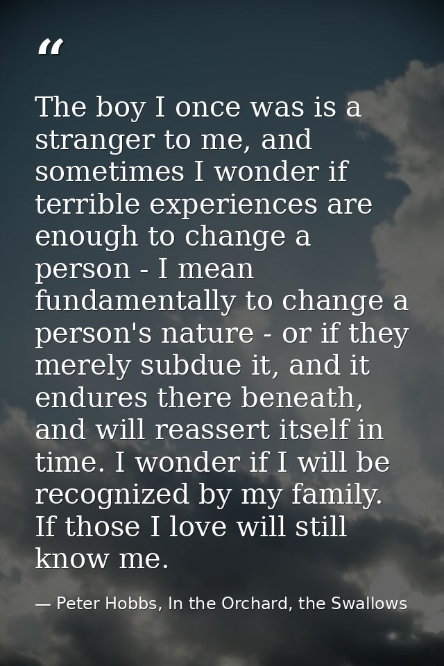 The boy I once was is a stranger to me, and sometimes I wonder if terrible experiences are enough to change a person - I — Peter Hobbs, In the Orchard, the Swallows