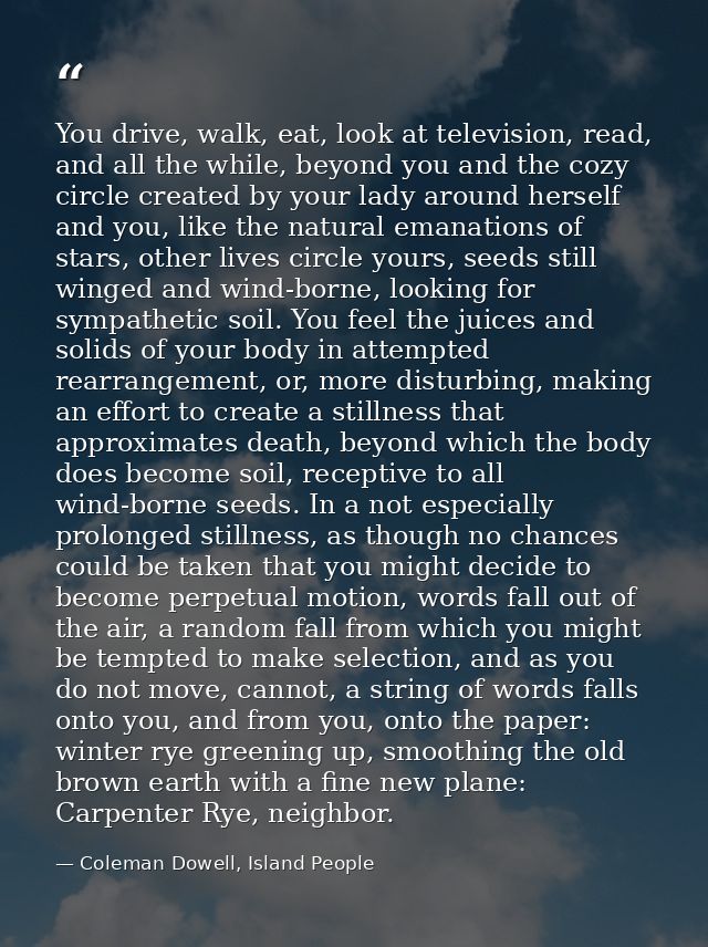 You drive, walk, eat, look at television, read, and all the while, beyond you and the cozy circle created by your lady a — Coleman Dowell, Island People
